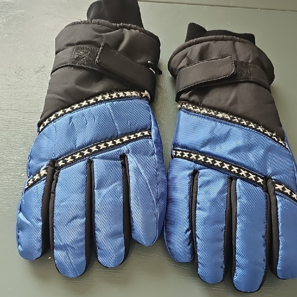 Blue‎ and Black Winter Gloves. Size Small. Waterproof By Thinsulate.